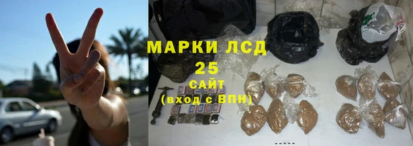 хмурый Алексин