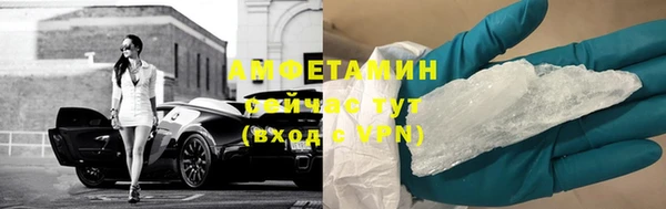 сатива Алзамай