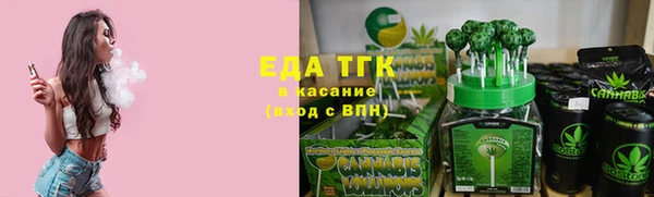 хмурый Алексин