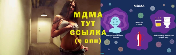 гашик Алексеевка