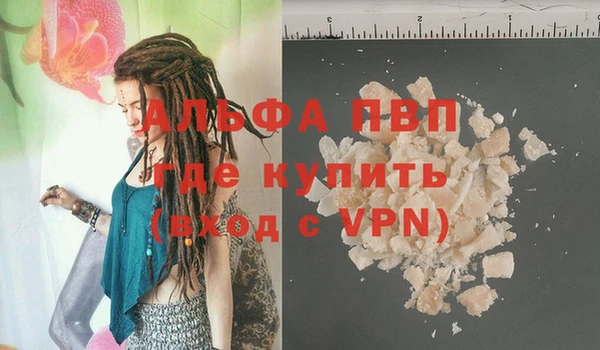 сатива Алзамай