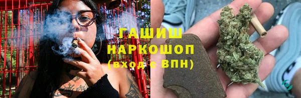 гашик Алексеевка