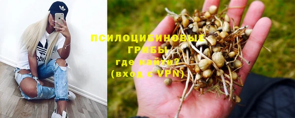 сатива Алзамай