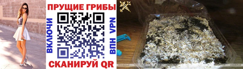 дарк нет состав  Грайворон  Псилоцибиновые грибы MAGIC MUSHROOMS 