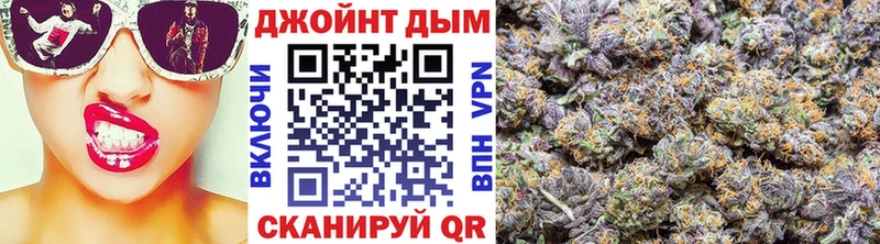 площадка как зайти  Грайворон  Каннабис конопля 